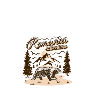 Romania bear adventure model gri pe tricou