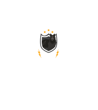 serviciu de securitate - securitate - persistență - 24 de ore pe zi model alb pe tricou