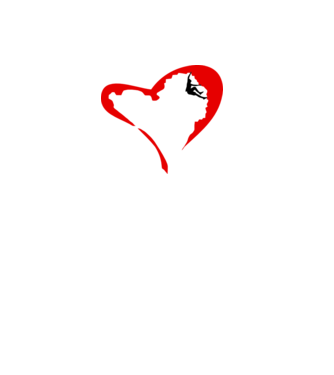 heartclimb model alb pe tricou