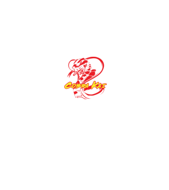 cobra kai simple model negru pe tricou