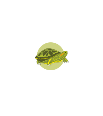Turtle model negru pe tricou
