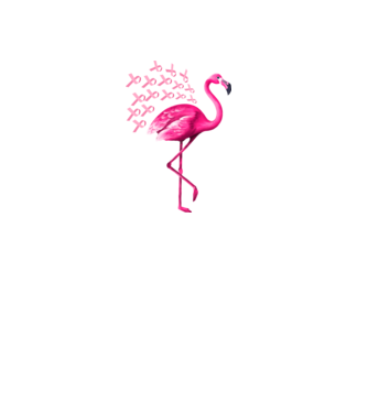 Flamingo pink model negru pe tricou