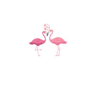 FLAMINGO ÎNDRĂGOSTIȚI model alb/roșu pe tricou