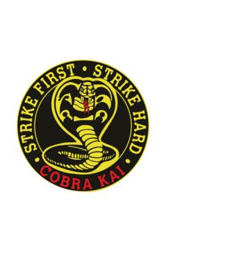 Strike first strike hard logo model negru pe tricou
