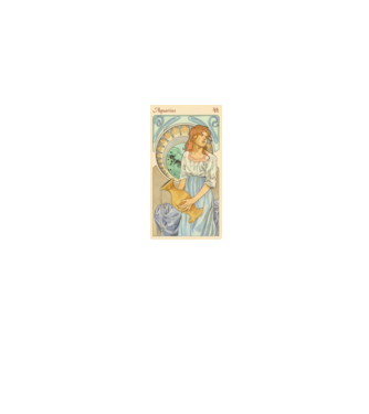Horoscop Tarot VARSATOR model gri pe tricou