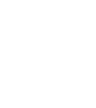 Mr. model negru pe tricou