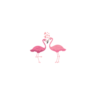 FLAMINGO ÎNDRĂGOSTIȚI model alb pe tricou