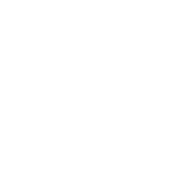 LOVE Havanese model negru pe tricou