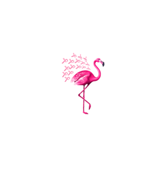 Flamingo pink model negru pe tricou