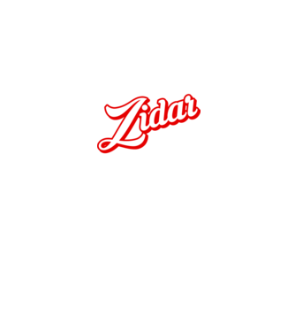 Cel mai bun ZIDAR din lume model negru pe tricou