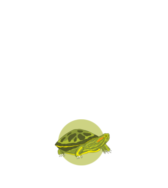 Turtle model negru pe tricou