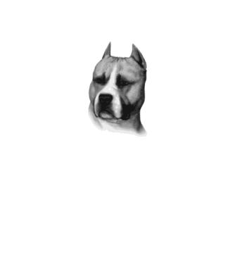 Staffordshire Terrier model alb pe tricou