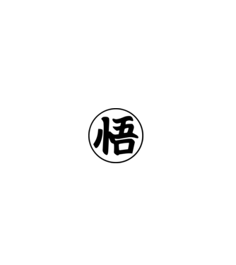 Dragonball logo model gri pe tricou