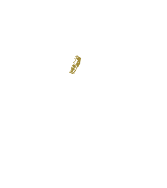 King in the north 2c model negru pe tricou
