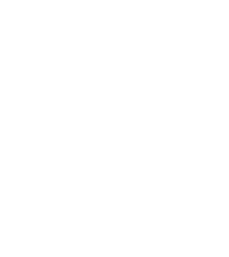 Mr. model negru pe tricou