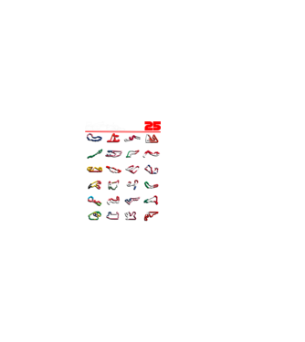 F1 calendar 2025 Negru model negru pe tricou