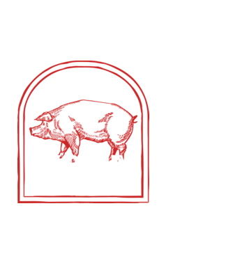 Festival de ceaun - cu tata în grădina din spate! model alb pe tricou