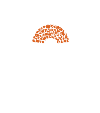 Pokeball model negru pe tricou
