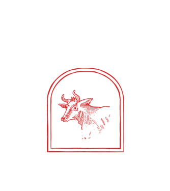 Festival BBQ - cu tata în grădina din spate! model negru pe tricou