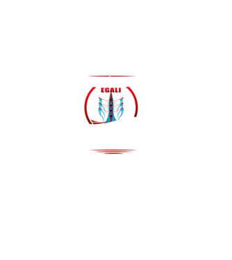 Toți se nasc egali, dar numai cei mai buni devin vâslași model turcoaz pe tricou