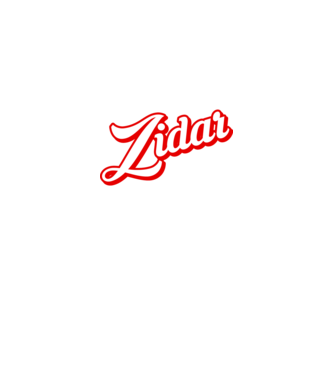 Cel mai bun ZIDAR din lume model negru pe tricou