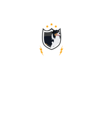 serviciu de securitate - securitate - persistență - 24 de ore pe zi model negru pe tricou
