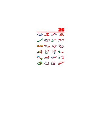 F1 calendar 2025 Negru model negru pe tricou