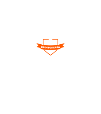 Sunt cea mai tare croitoreasă și tot ce am primit pentru asta a fost acest tricou jalnic model negru pe tricou