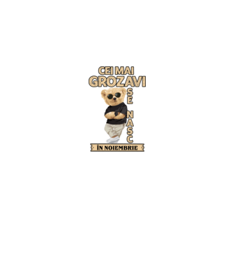 Teddy cel cool noiembrie model albastru jeanși pe tricou