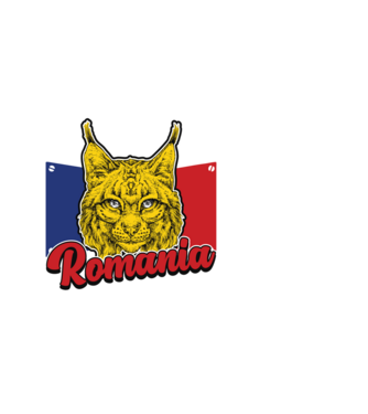 Legends are born in România march model negru pe tricou