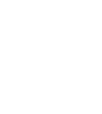 Bug fixed model negru pe tricou