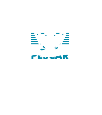 Pescar original model negru pe tricou