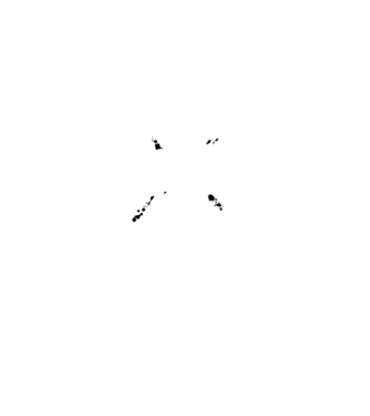 I survived the battle of the bastards model gri închis pe tricou