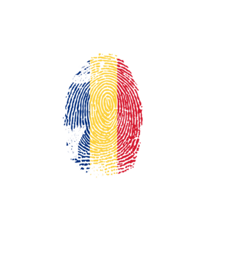 its in my dna model negru pe tricou