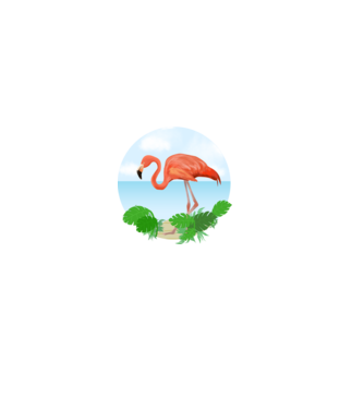 Flamingo model alb pe tricou