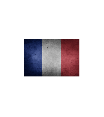 FRANCE model alb pe tricou