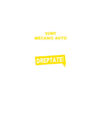 sunt MECANIC AUTO, pentru a economisi timp, să reținem că am întotdeauna dreptate model negru pe tricou