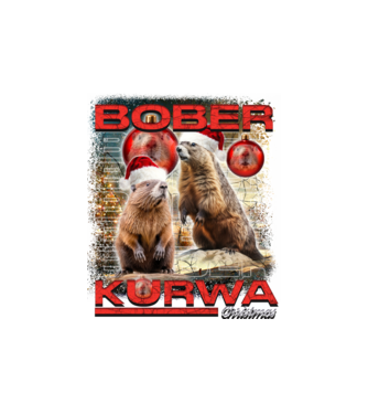 Bober kurwa christmas universe model nisipiu pe tricou
