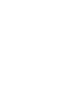 Crazy Cat Ladies are born in November model negru pe tricou