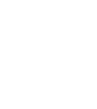 Camion 2. model turcoaz pe tricou