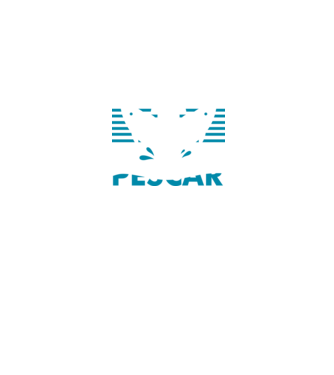 Pescar original model negru pe tricou