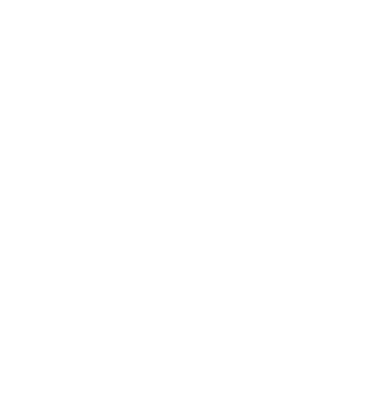 România made in model alb pe tricou