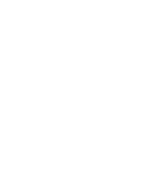 Freedom model turcoaz pe tricou