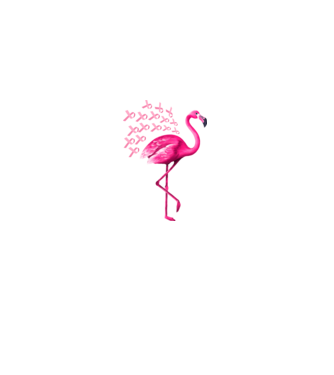 Flamingo pink model negru pe tricou