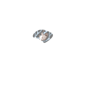 what does the sloth say model negru pe tricou