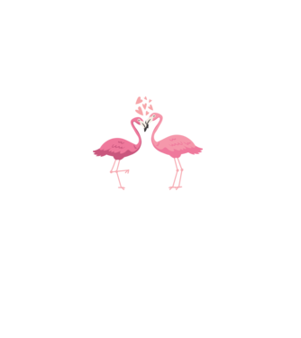 FLAMINGO ÎNDRĂGOSTIȚI model alb pe tricou
