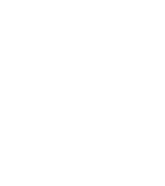 Tatadidas model alb pe tricou