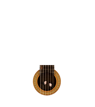 Guitar prison model alb pe tricou