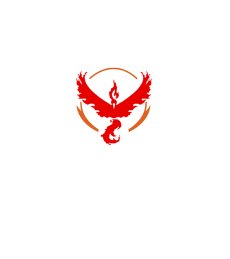 Valor team logo model alb pe tricou