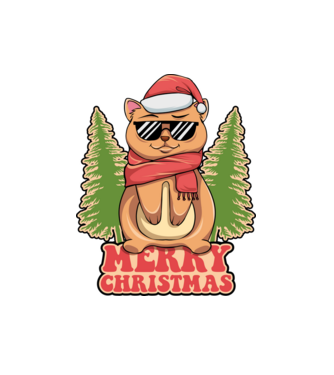 Merry christmas cat model alb pe tricou